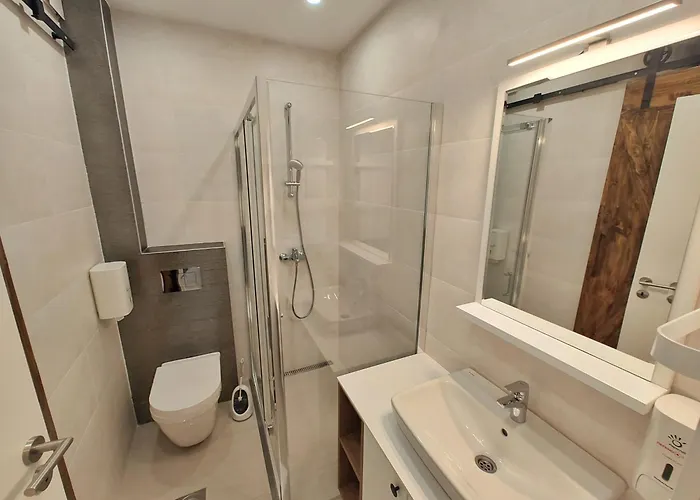 Magnet ズラティボール