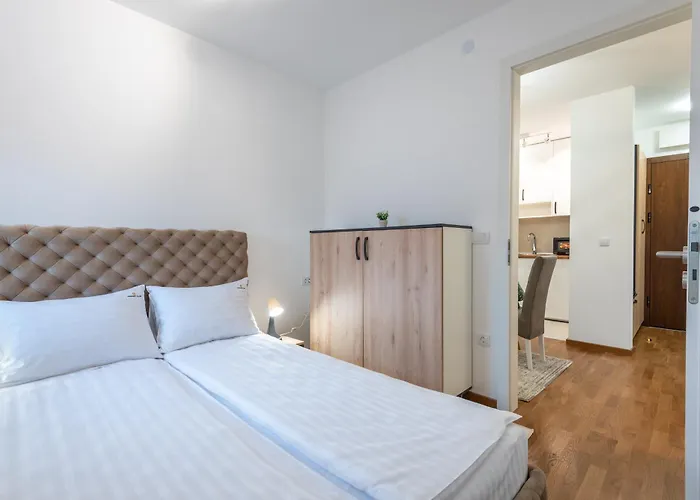 Magnet ズラティボール